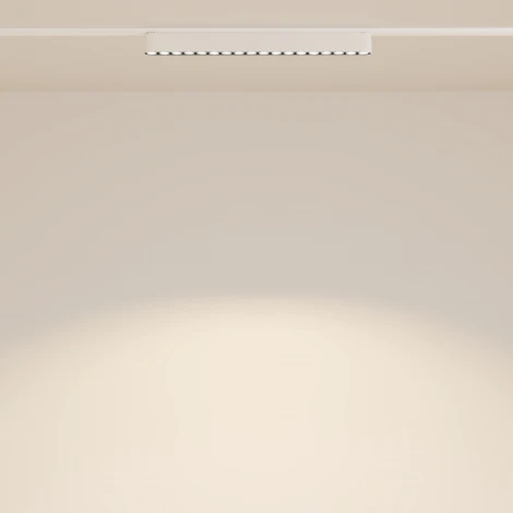 Трековый светильник Points Radity 3000K 18Вт 36° LED (магнитный) Maytoni Technical TR082-1-18W3K-M-W (48V)