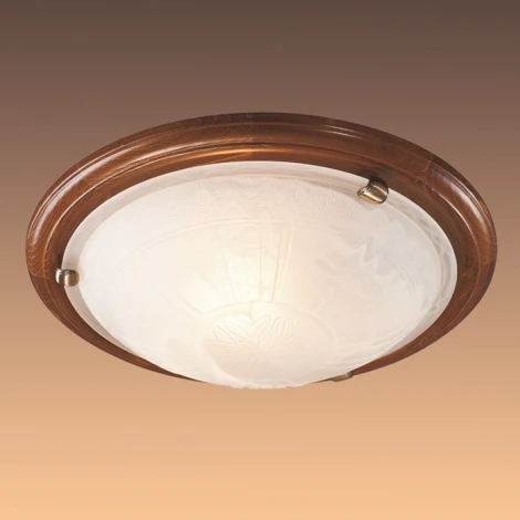 Настенно-потолочный светильник Sonex Lufe Wood 336