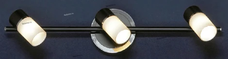 Настенно-потолочный светильник Lussole Siliqua LSQ-6101-03