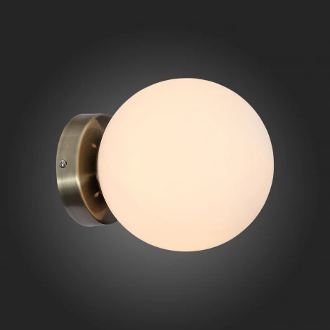 Настенно-потолочный светильник ST Luce Acini SL717.301.01