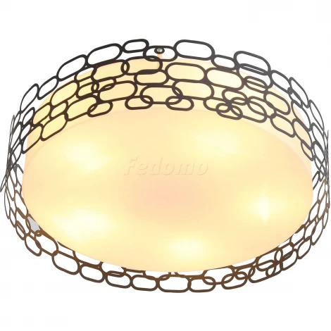 Потолочный светильник ST Luce Ciatura SL304.402.05