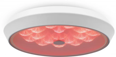 Потолочный светильник RGB круглый Freya Cells FR10012CL-L24W (LED, 220V, пульт управления, круглые)