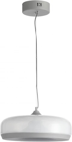 Подвесной светильник ST Luce Ripple SL6014.503.01 Серый/Молочный LED 1*42W (220V, на тросе, круглые)