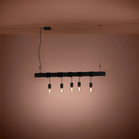 Подвесной светильник Townshend-B 39937 (220V, на тросе)