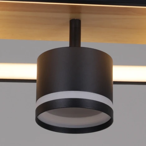 Потолочная люстра с пультом с регулировкой цветовой температуры, яркости и ночным режимом Reluce 19560-0.3-2+2 BK+WOOD