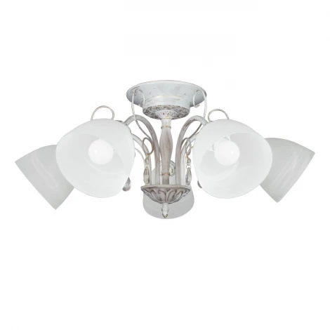 Потолочная люстра Day&Night S9100-5