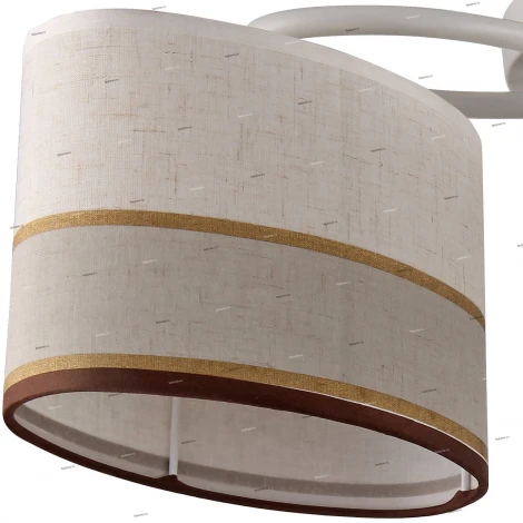 Потолочная люстра J-Light Markel 1154/3C