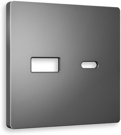 Лицевая панель Ambrella Volt ALFA (Антрацит серый) для розетки 2USB тип A+C QUANT AP6610