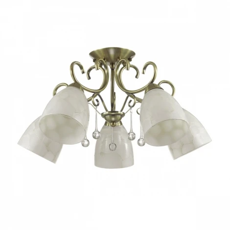 Потолочная люстра Lumion Eleconca 3511/5C