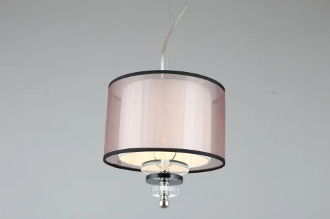 Подвесной светильник Aployt Floret APL.703.06.01 (220V, на тросе, круглые)