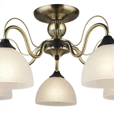 Потолочная люстра Wedo Light Atli 66635.01.37.05