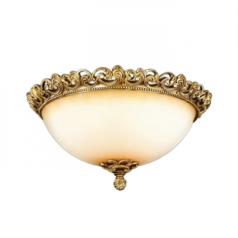 Потолочный светильник Odeon Light Ponga 2431/3C