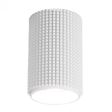 Накладной точечный светильник Elektrostandard Spike DLN112 GU10 (220V, круглые)