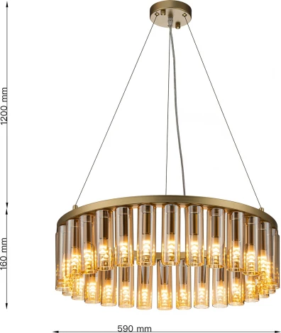 Подвесная люстра Favourite Slang 4503-30P (220V, на тросе, круглые)