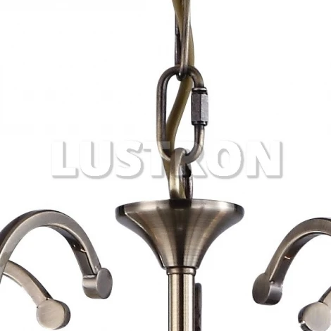 Подвесная люстра Arte Lamp Signo A1512LM-5AB