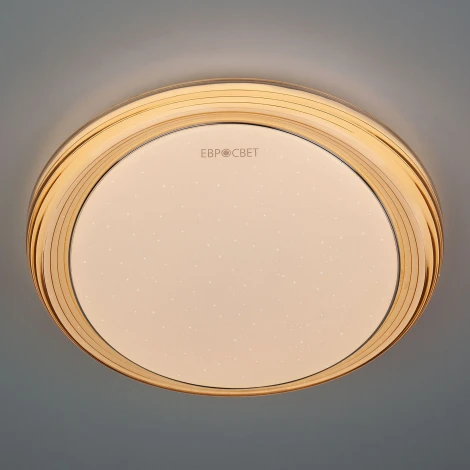 Потолочный светильник Eurosvet Universal 40007/1 LED кофе 54W