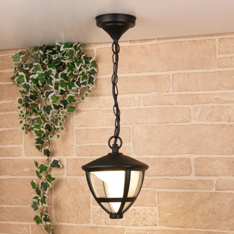 Уличный подвесной светильник 3001H Elektrostandard Gala GL LED a043199