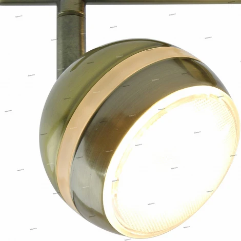 Спот Arte Lamp Venerd A6009PL-2AB