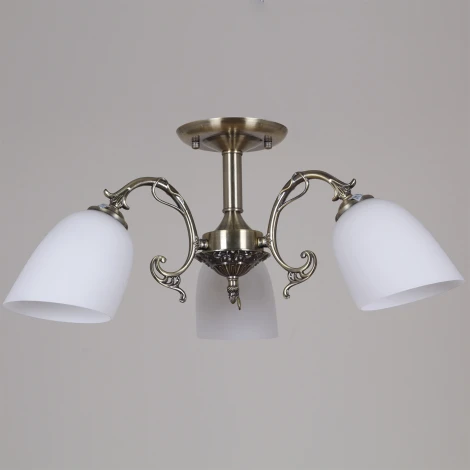 Потолочная люстра на штанге Reluce 70577-0.3-03