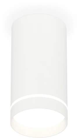 Накладной точечный светильник Ambrella Techno Spot XS8161006 (220V, круглые)