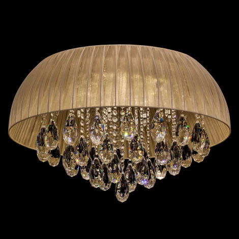 Потолочная люстра MW-Light Жаклин 465015217