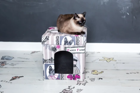 Пуфик Dreambag складной Для Животных Candy 1705200