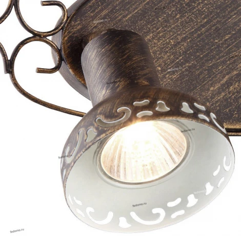 Спот Arte Lamp Focus A5219AP-2BR