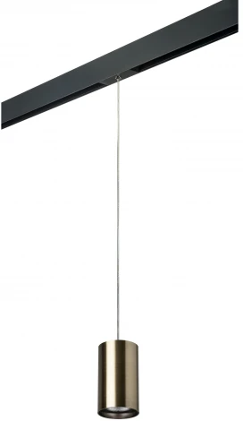 Трековый светильник однофазный 220V Lightstar Rullo PRORP431 (круглые)