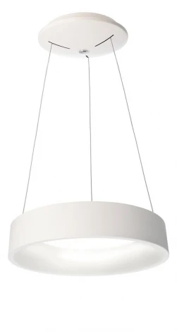 Подвесной светильник Deko-Light Sculptoris 342122 (LED, 220V, на тросе, круглые, кольцо)