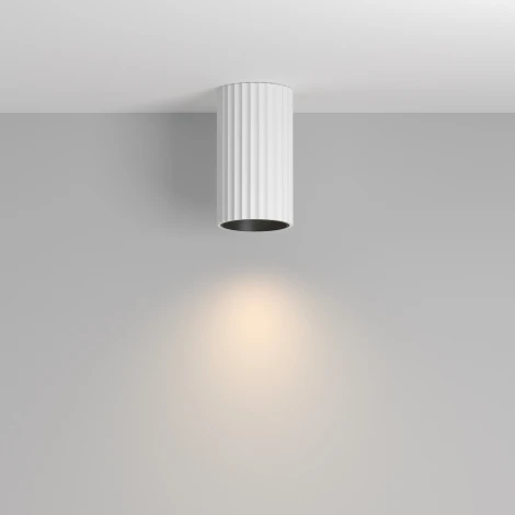 Накладной потолочный светильник Maytoni Calipso C106CL-01-GU10-W (220V, круглые)