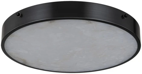 Потолочный светильник Belfast Devon 3395-4 BL MB