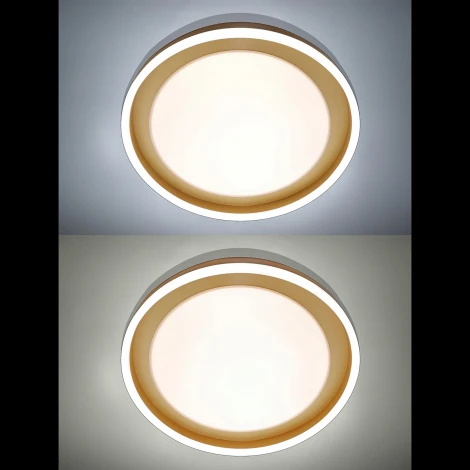 Потолочная люстра Natali Kovaltseva LED LAMPS 81301