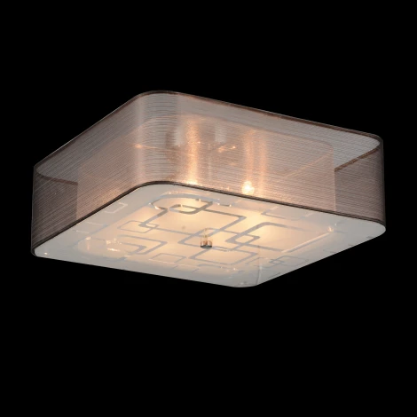 Потолочный светильник ST Luce Ajur SL940.802.06