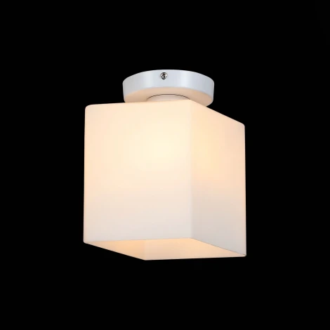 Настенно-потолочный светильник ST Luce Aspetto SL548.501.01