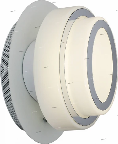 Настенно-потолочный светильник ST Luce Ovale SL546.501.01