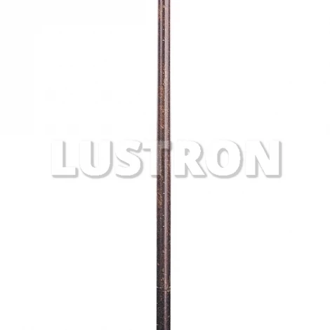 Торшер Arte Lamp Carmen A5013PN-1BG