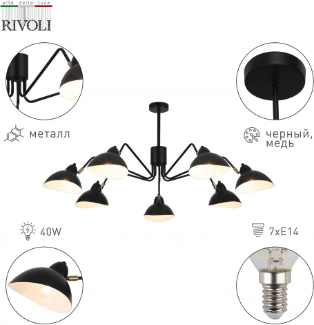 Потолочная люстра на штанге Rivoli Geraldine 4101-307