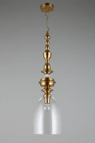 Подвесной светильник Aployt Rena APL.602.16.01 (220V, на проводе, круглые)