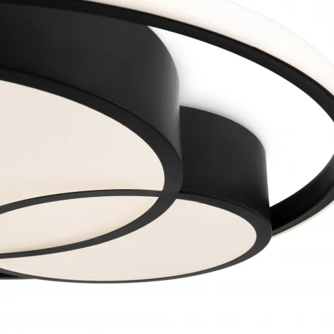 Потолочный светильник светодиодный с пультом Freya Tucene FR10029CL-L70B