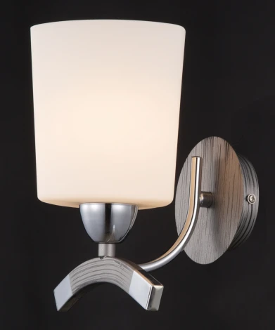 Бра Maytoni Eurosize 1 MOD131-WL-01-N