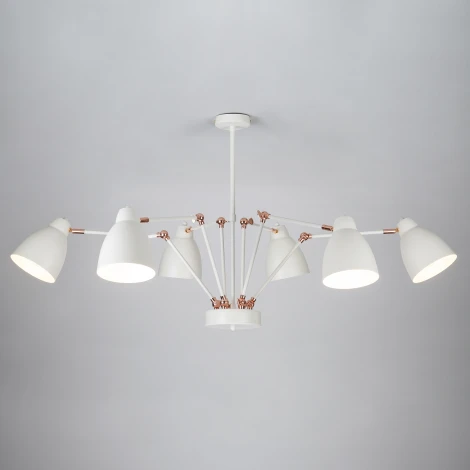 Потолочная люстра Eurosvet Loft 70084/6 белый