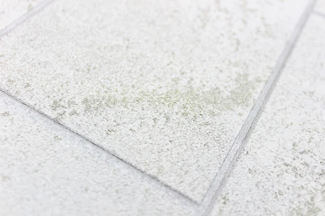 Обои виниловые Erismann Millennium 60016-02 10,05 x 1,06 м