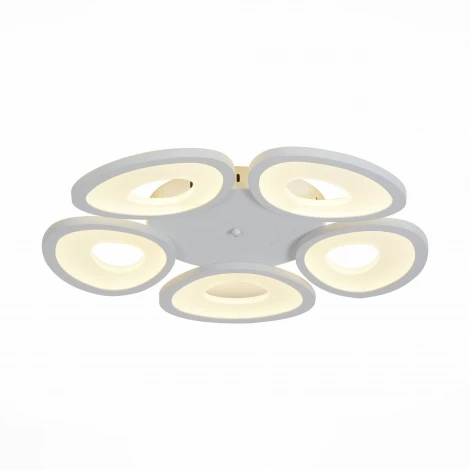 Потолочная люстра ST Luce Rista SL929.502.05