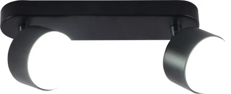 Настенно-потолочный спот Rivoli Alesta 7079-702 2хGX53 15 Вт поворотный