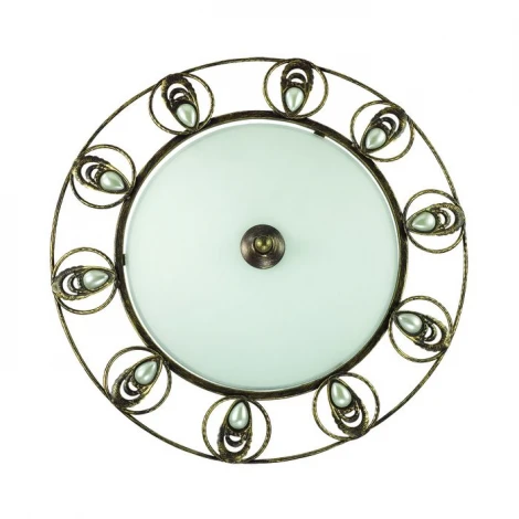 Настенно-потолочный светильник Odeon Light Kanti 3484/3C