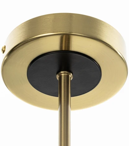 Потолочная люстра на штанге Citilux Alton CL421253 (220V)