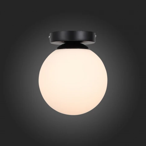 Настенно-потолочный светильник ST Luce Acini SL717.401.01