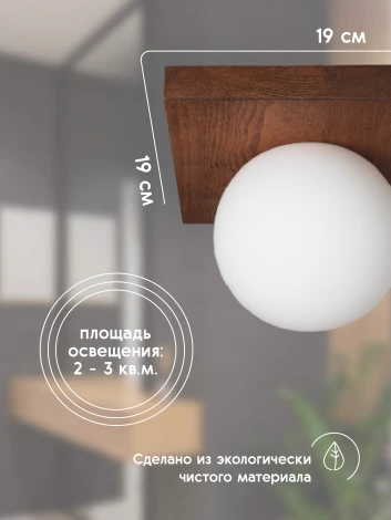 Потолочный светильник прямоугольный Мелодия Света SS1N 000036824