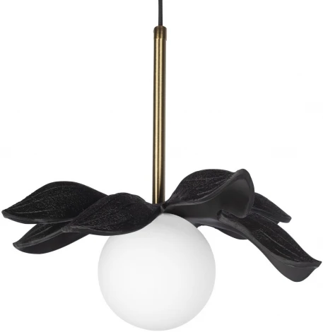 Подвесной светильник Loft It Monro 10213/A Black (220V, цветы, шар)