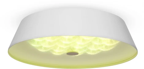Потолочный светильник Freya Cells FR10013CL-L24W